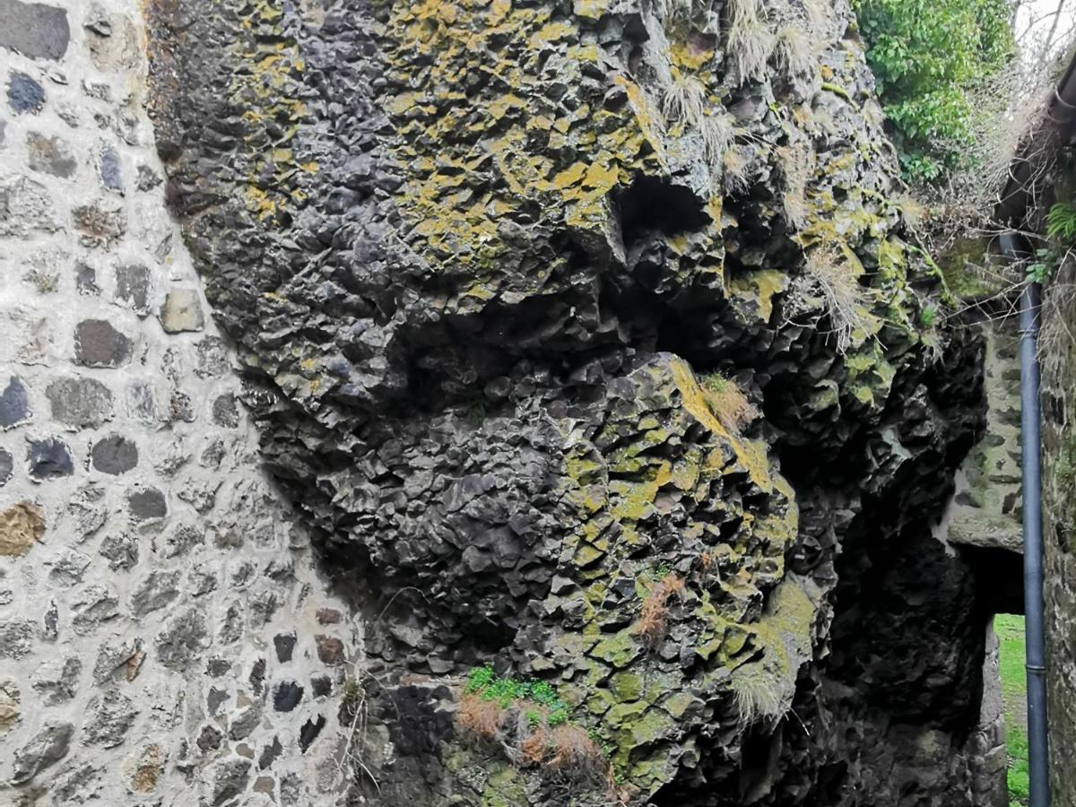 Gite 4 Pers Avec Cour, Vue Loire - Fr-1-582-122 Arlempdes Zewnętrze zdjęcie