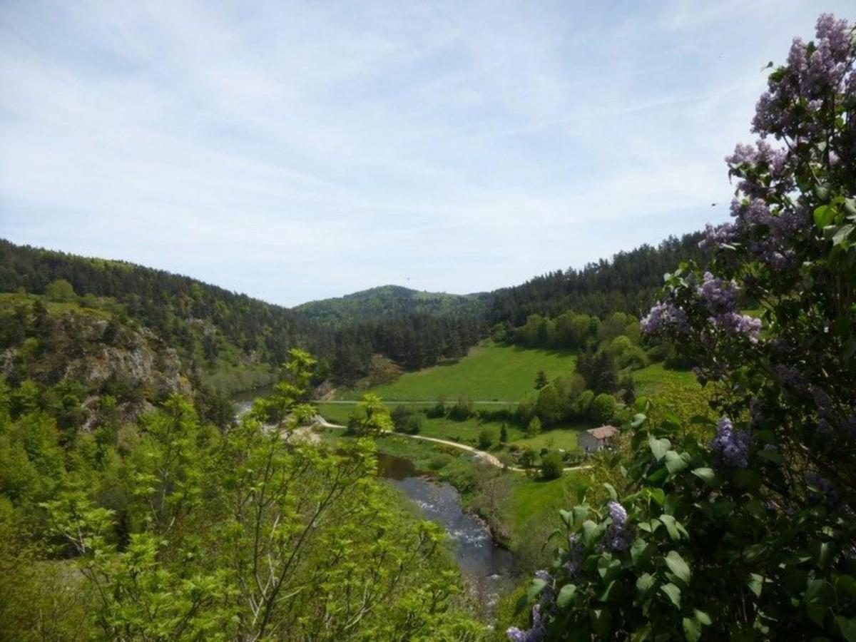 Gite 4 Pers Avec Cour, Vue Loire - Fr-1-582-122 Arlempdes Zewnętrze zdjęcie